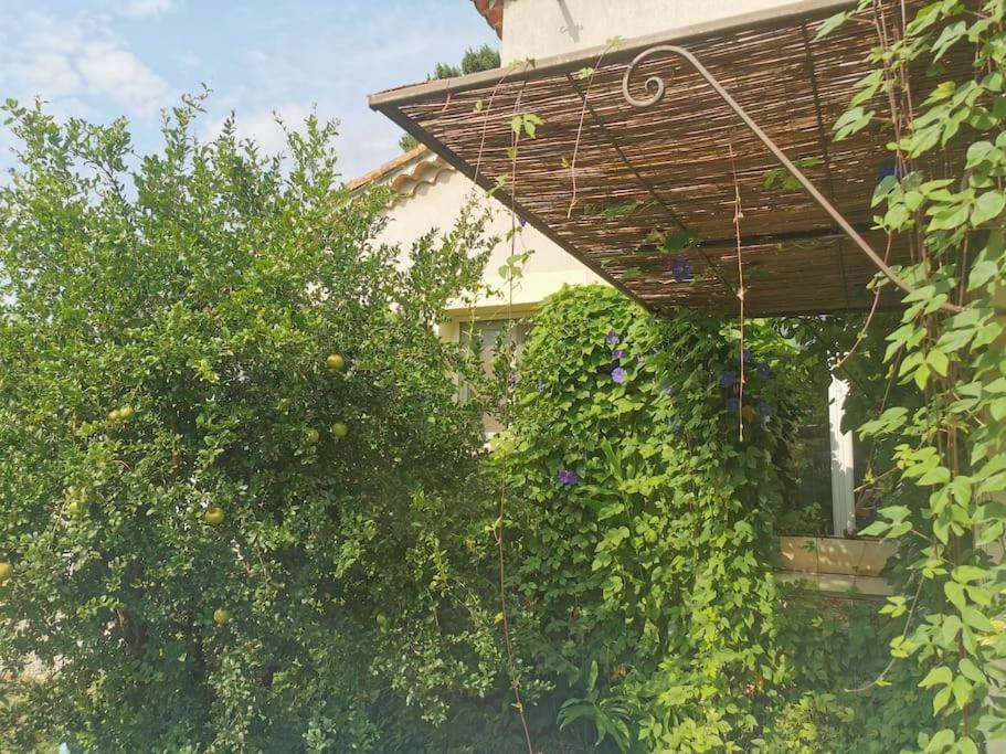 Maison Avec Piscine Dans Village Provencal. Courthezon ภายนอก รูปภาพ