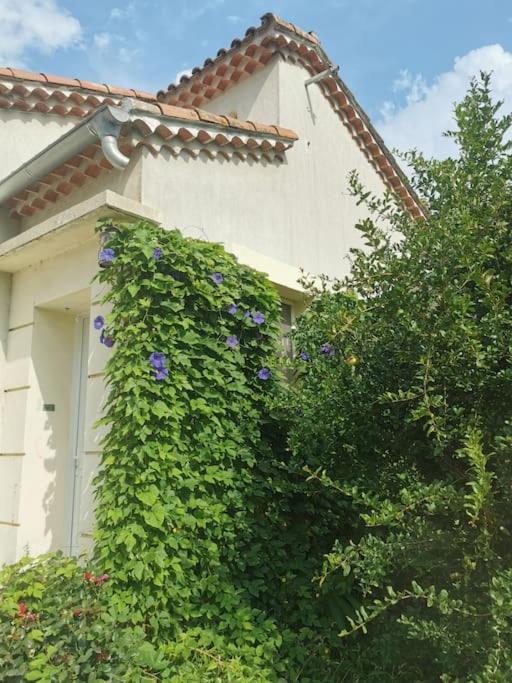 Maison Avec Piscine Dans Village Provencal. Courthezon ภายนอก รูปภาพ